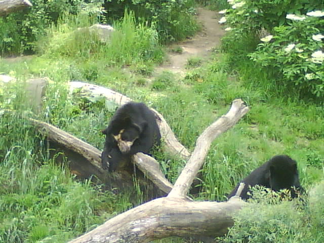 DSC02386.JPG