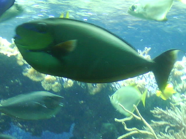 DSC02410.JPG